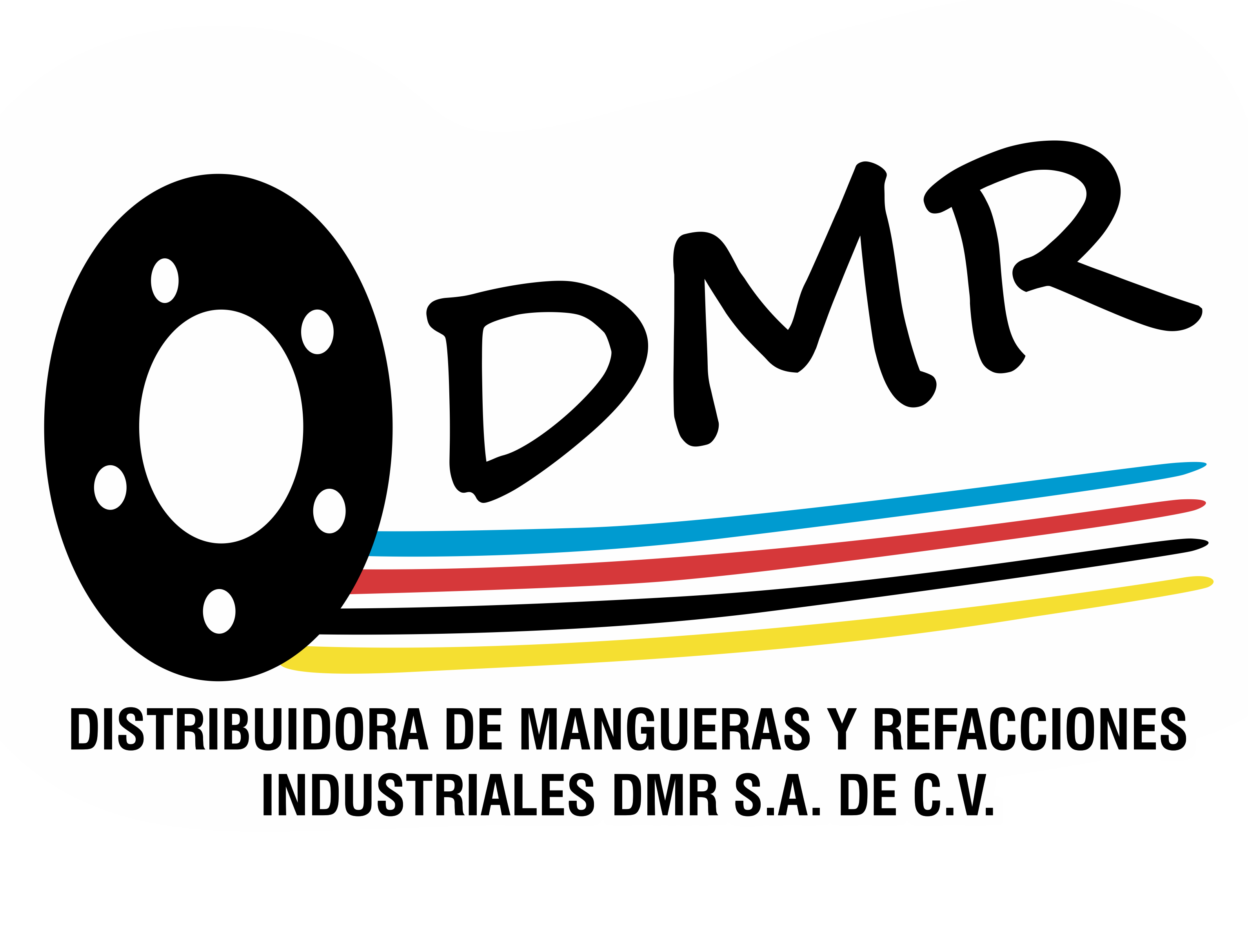 DMR  logo